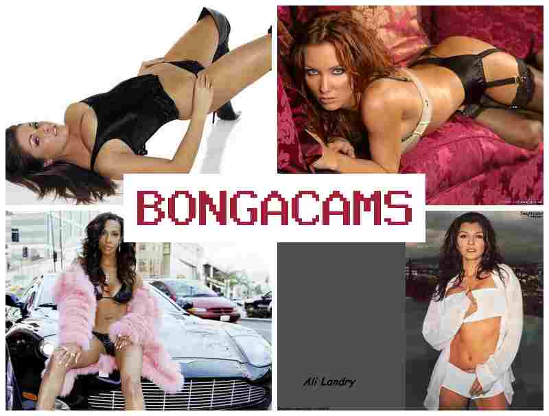 BINGACAMS 💟 Zero Porn & Webcam Vkontakte Porn