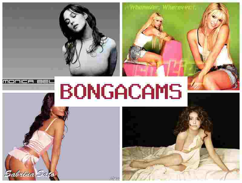 BOHGACAMS 💕 ASMR Porn & Free Young Sex Tube