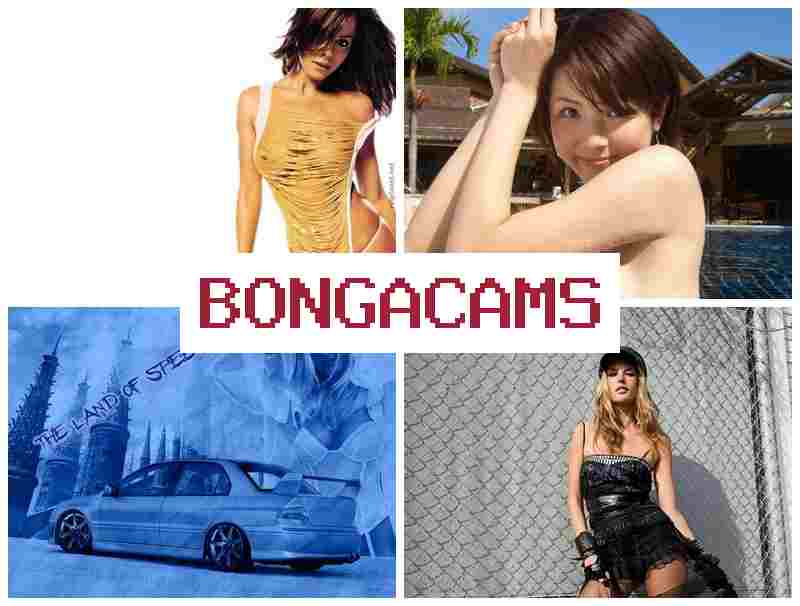 BONGADAMS 💏 Cum Tits Sluts & Doggy Porn BONGADAMS 💏 Cum Tits Sluts & Doggy Porn