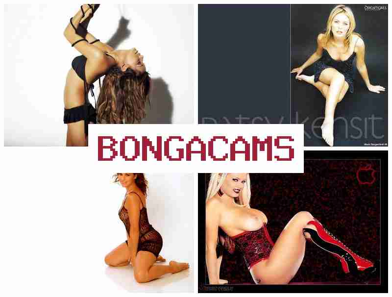 BONGACSMS 💏 Less Porn & Slut Anal Porn