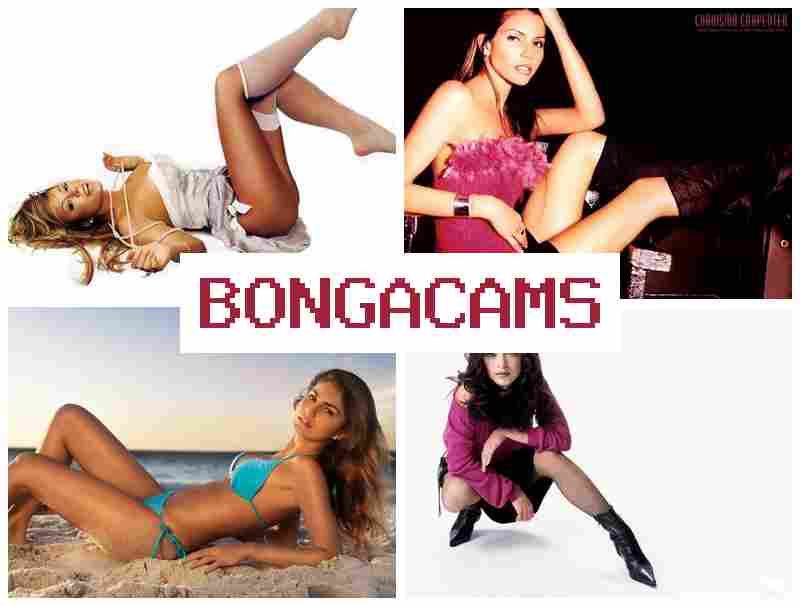 BONGACZMS 🆗 Latina Porn & Free Sex Chat Bot