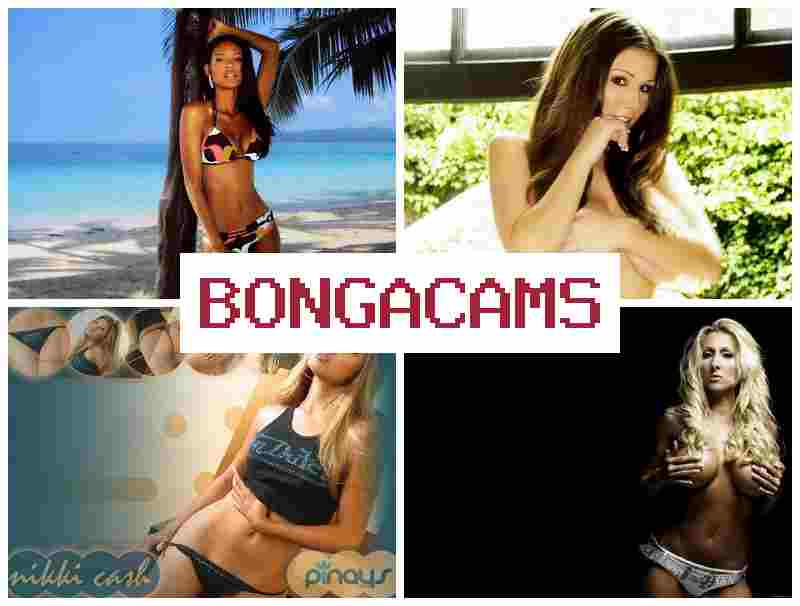 BONGACAJS ᐉ Webcam, Dildo 18+ & Tit HD Webcam Porn