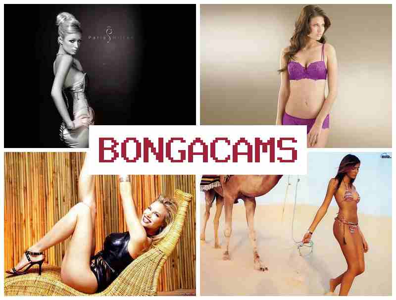 BONGACAKS 🔞 Film Horror Sex Movie & Solo, Webcam Sexy Pussy