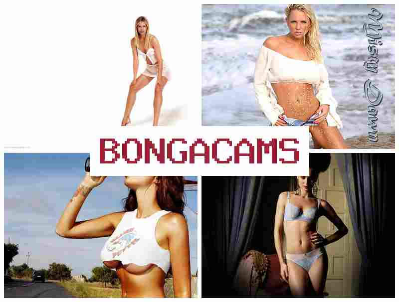 BONGACA,S ✔️ AI Porn Video & Porn Anal, Big Tits