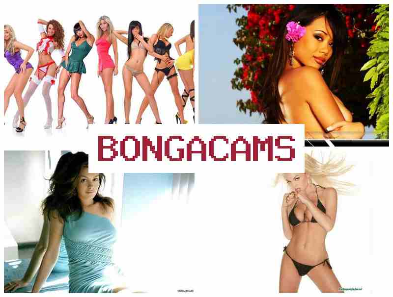 BONGACAMD 👍 Milf Big Ass, Webcam & 1977 Sex Movies