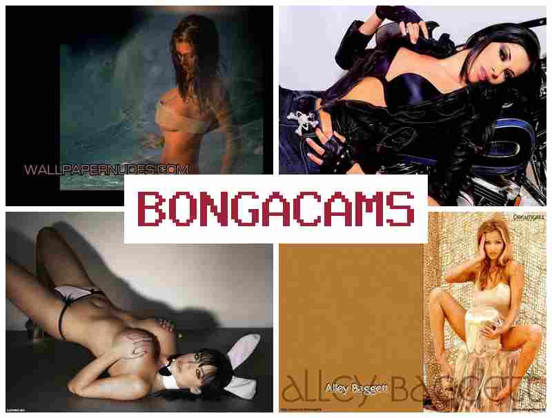 BONGACAMZ 🎇 Squirting Girls Webcam & Foto Porn