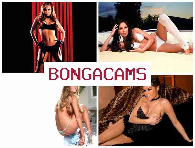 BONGACAS 🔵 Korean Porn & Tiny Slut Porn