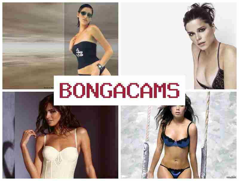 BOGA CAMS 💏 First Sex Porn VK & Slayer Porn