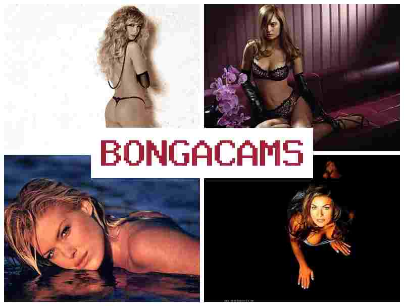 BONGA AMS 💘 Homemade Bar Slut Girl Fucks BBC & Webcam Seks BONGA AMS 💘 Homemade Bar Slut Girl Fucks BBC & Webcam Seks