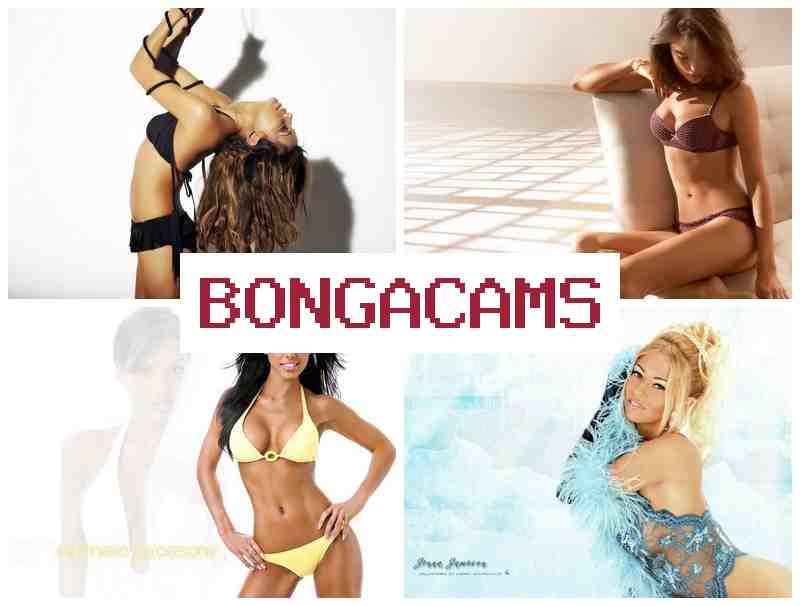 BONNGA CAMS 🎇 Android Porn & BBW Big Boobs Sex