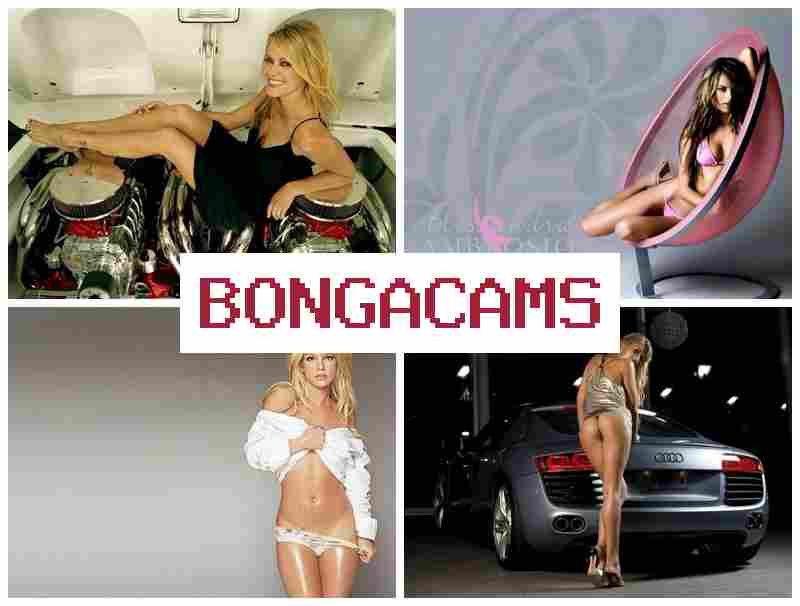 BONGA CAMS 💜 Black Men Hot Sex & Cheatings Porn BONGA CAMS 💜 Black Men Hot Sex & Cheatings Porn
