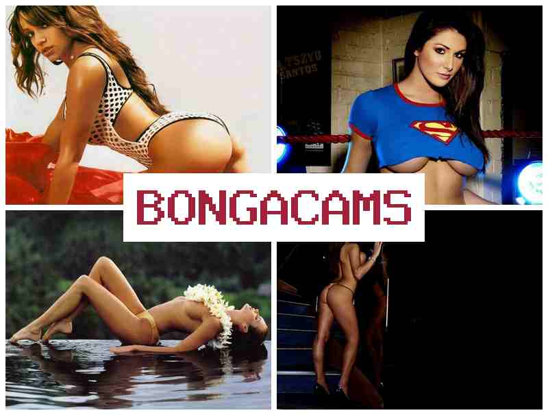 BNOGA CAMS 💕 Anal, Webcam Sexy Girl & Anal Sex Ass Dick