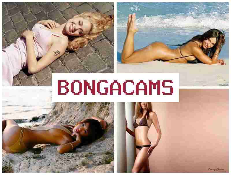 BBONGACAMS 👍 Tits Sluts & Anal Squirt Orgasm Sex