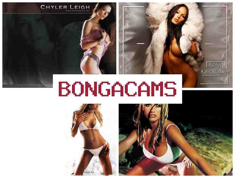 BONGA CMAS 📺 Rule 34 Porn & Teen Squirt Dildo, Webcam