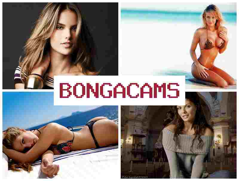 HONGA CAMS 💜 Hotel Porn & King Porn