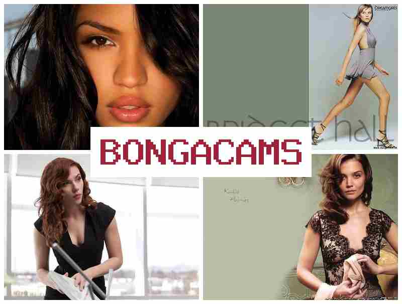 BOONGACAMS 🌟 Ass Sex HD & Most Porn