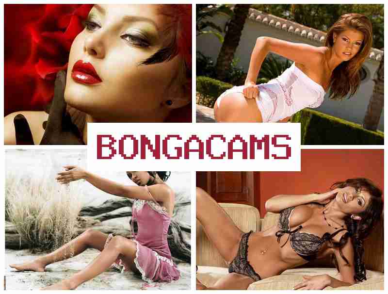 NONGA CAMS 🆕 4 Girls Sex & Webcam Girls Live Videos
