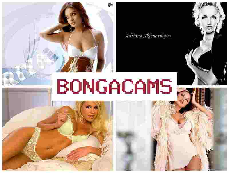 BINGA CAMS 👠 Porn Archive & Porno Pussy Orgasm on Webcam Solo