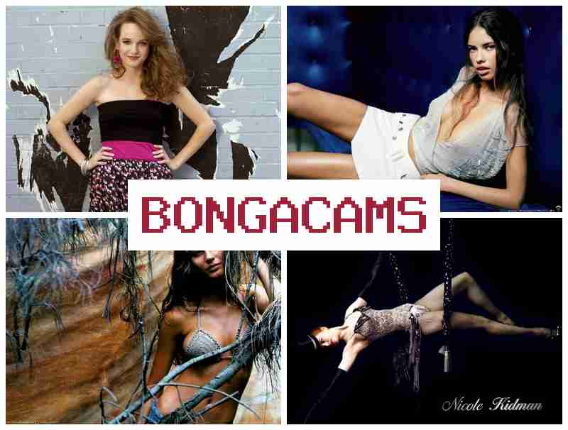 B0NGA CAMS 👩 Horny Anal Sluts & R34 Porn B0NGA CAMS 👩 Horny Anal Sluts & R34 Porn