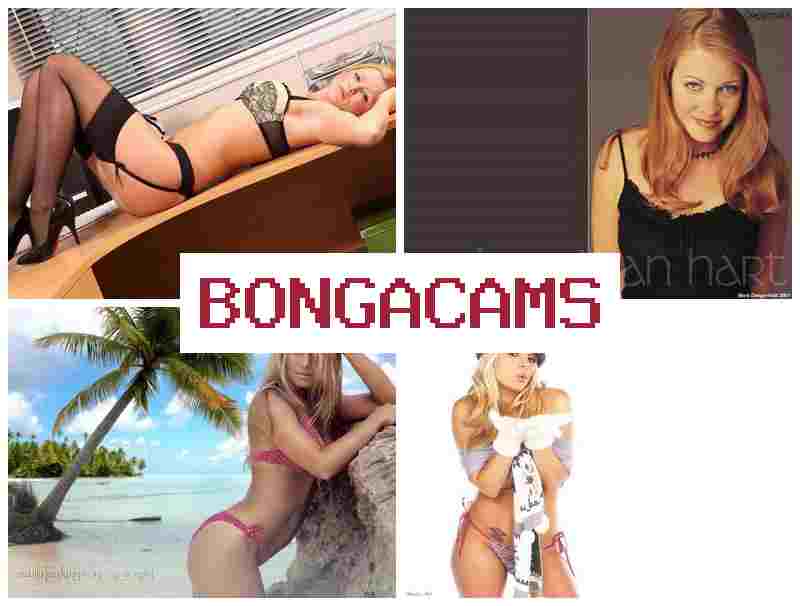 BPNGA CAMS 💓 4K Slut & Undertale Porn