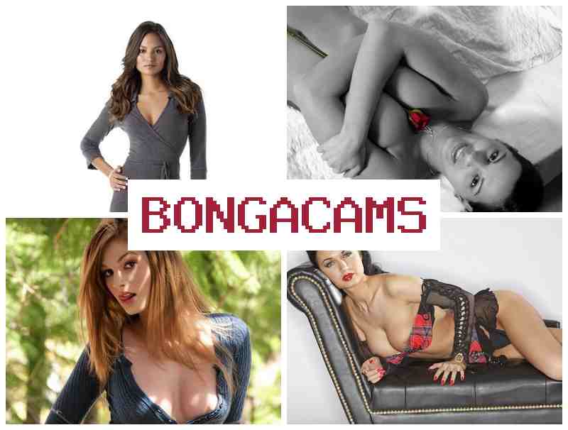 BONFA CAMS 💋 Ass Porn & Sex Live Video Chat
