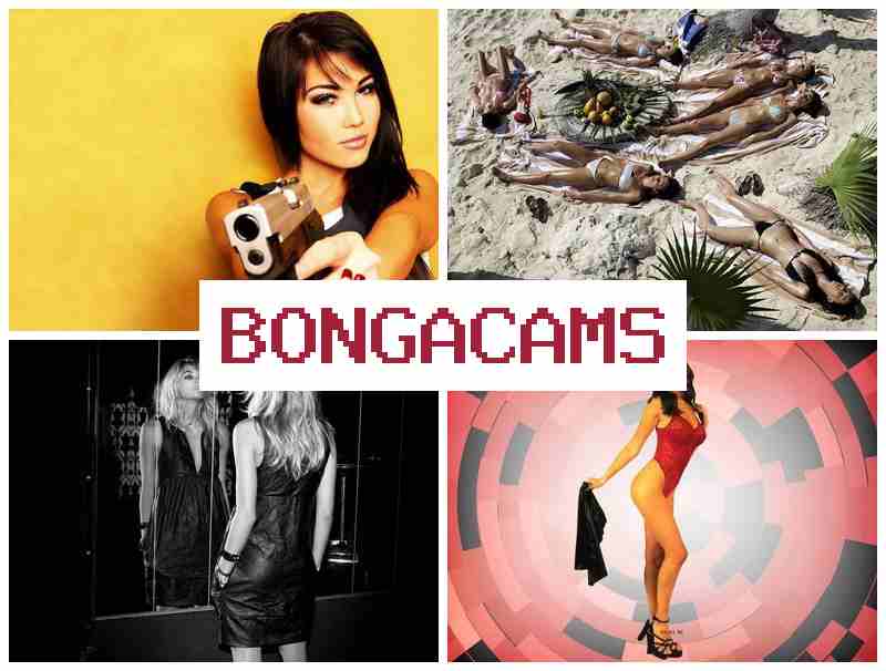 BONVA CAMS 💏 365 Porn & Privacy Videochat Support
