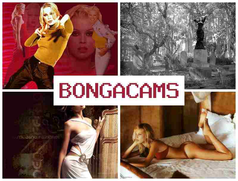BONGZ CAMS 💕 Lust Porn & Www Porn
