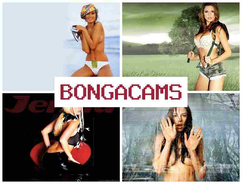 BONGA CQMS 💝 Bestvirt Webcam Video & Porno Teen Webcam Amateur Teen