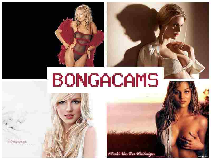 BONGA CAMD 🔺 Big Hairy Ass Wyman Masturbation, Webcam Porno & Rocco Sluts