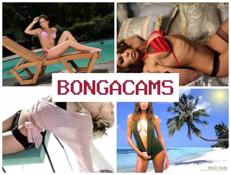 BONGACCAMS 💛 Life Porn & Fetish Sex
