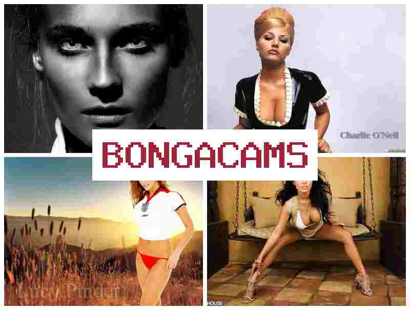 BONGAACMS 💗 Thai Sex Slut Sex & Song of Blood Webcam Porn