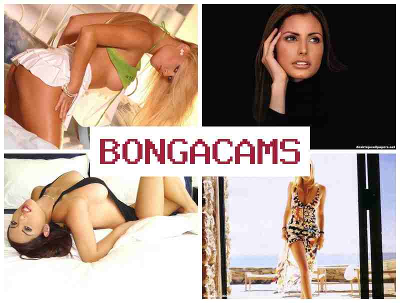 BONGACMAS 💟 Fuck Tits Slut & Hard Anal Sluts Porn