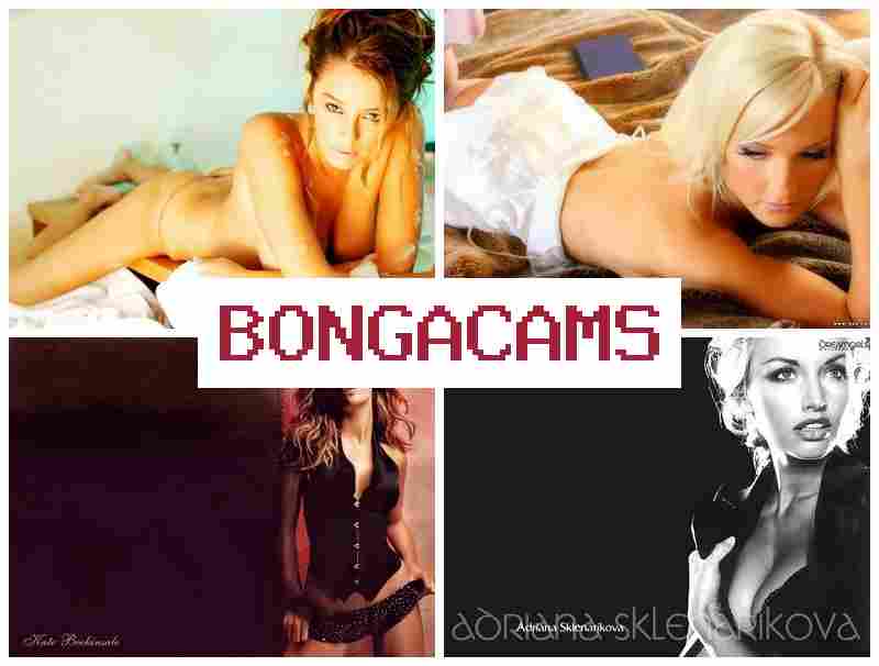 BONGACASM 💖 Ivy Porn & Teen Big Tits, Webcam Solo