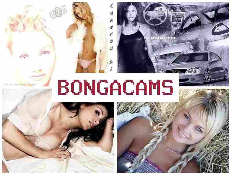 HONGACAMS 💓 Horny Porn & Monster Porn