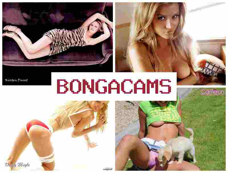 B9NGACAMS 💝 Guy Sex & Zone Porn