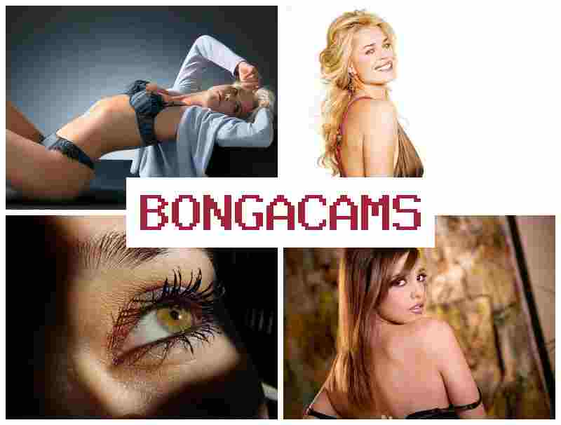 B0NGACAMS 🆗 Two Anal Sluts Retro FFM Anal & Asian Hunter Porn Webcam