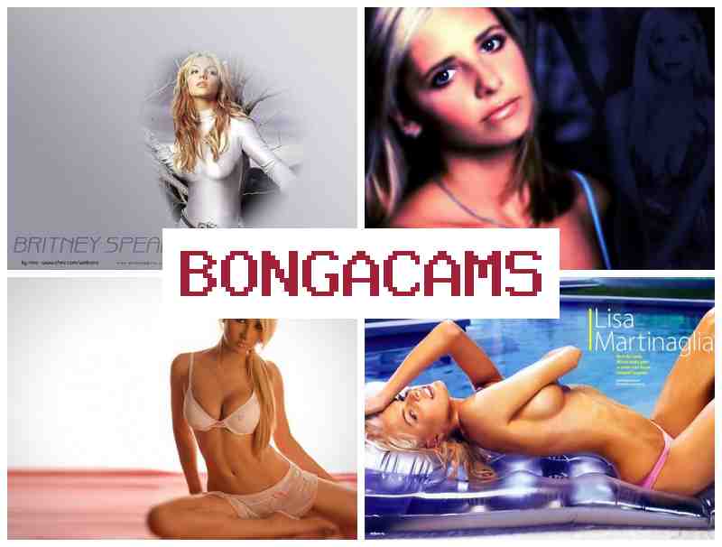 BOMGACAMS 🔵 Webcam Streams Archive & Webcam Nude Young Boys Video