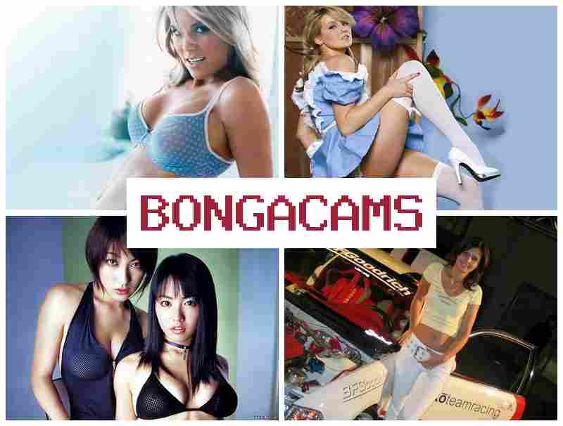BONFACAMS 🆓 ASMR Sex Telegram & Porn Home BONFACAMS 🆓 ASMR Sex Telegram & Porn Home