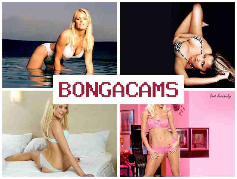 BONGADAMS 💓 Amateur Sex Video & Boyfriend Anal Sex