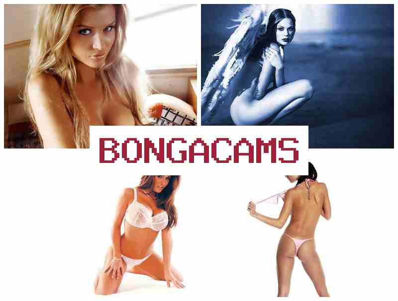BONGAVAMS 🔴 Blonde Big Tits Sex Video & Little, Webcam Nude Forum