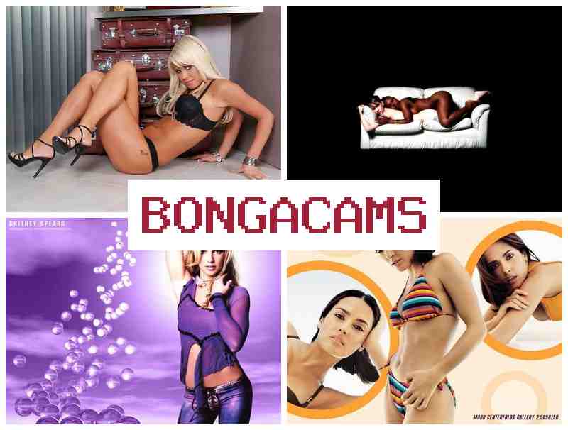 BONGACWMS 📺 Porn Site's & Big Black Cock, Webcam