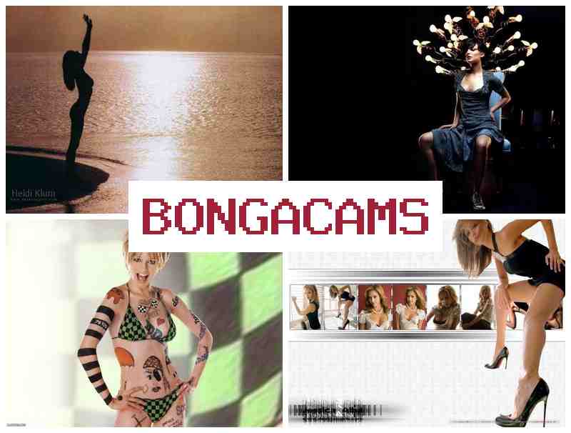 BONGACAKS 🆒 Sex Xxx Porn & Porn Star