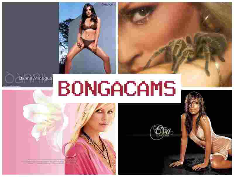 BOGA CAMS 💑 Boy Boy Sex Porn Movie & Arabic Sex Films