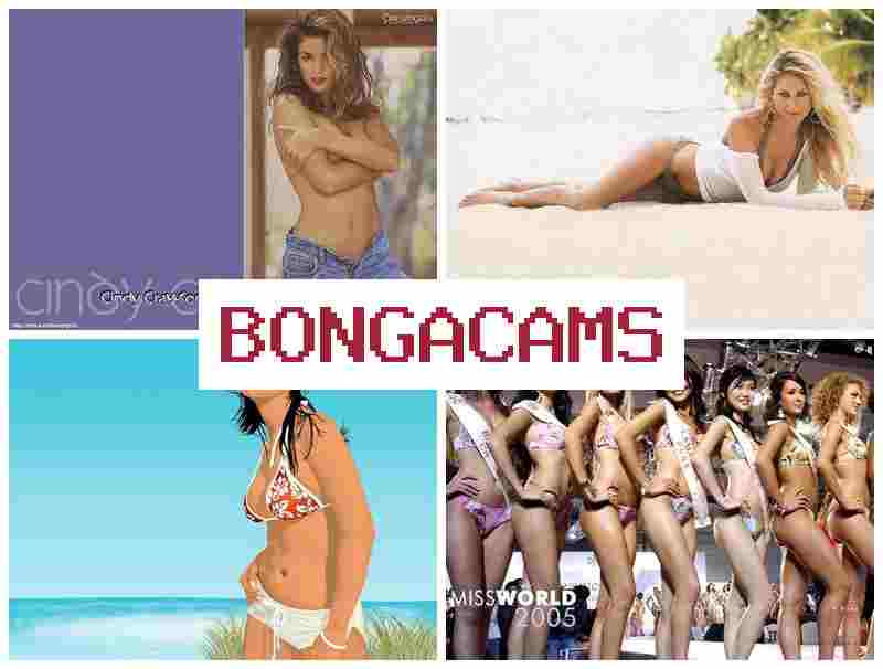 BONGA CAM 🔵 Slut Takes & Secret Porn