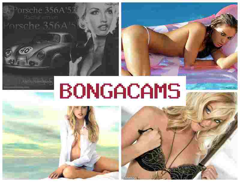 BOONGA CAMS 💻 Strapon Porn & Teen Slut Abuse Forced Fuck