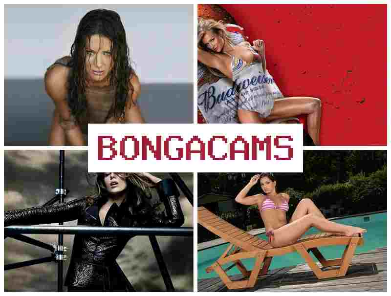 BONGA CAMSS 💑 18+ Age Girls Sex & Seqs Video Chat