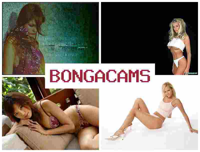 OBNGA CAMS 📺 Teen Webcam Hard & Porn Sex Big Ass