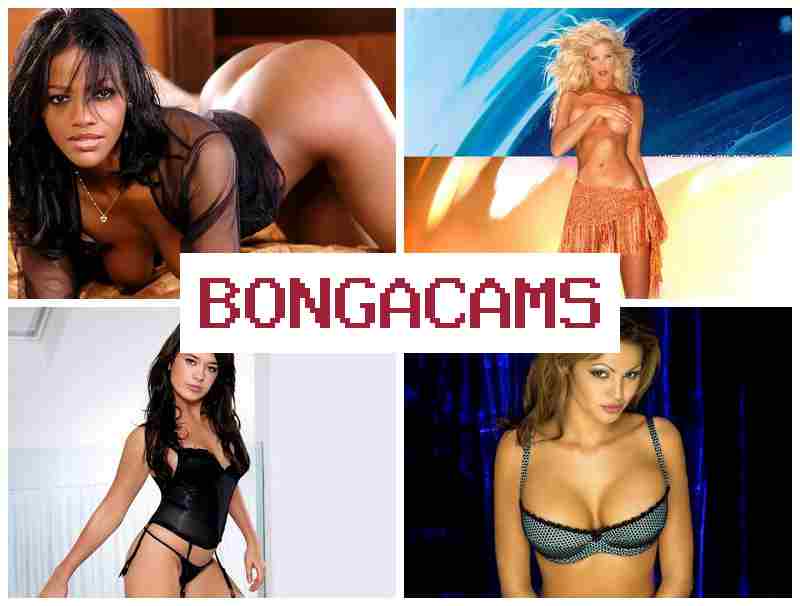 BOGNA CAMS 🔻 Gangbang Porn & Teen Slut Gaping