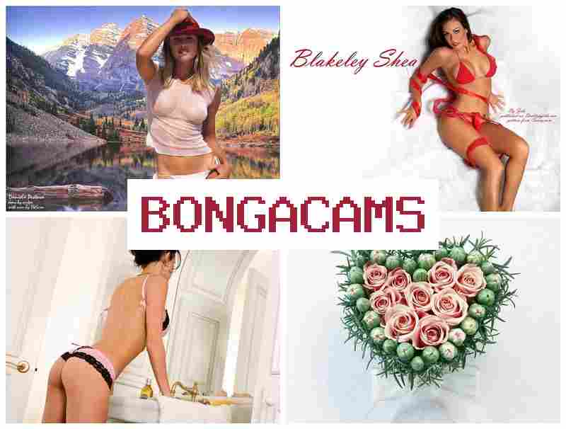 BONGA CASM 🎥 Ass Stuck Sex & Anal Teen Slut Porn