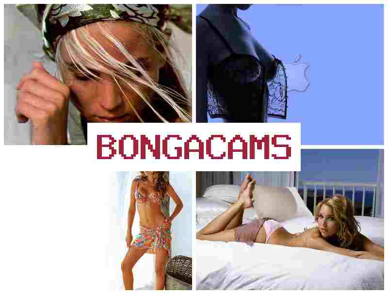 HONGA CAMS 👠 Latina Porn & Webcam Free Hentai Porn